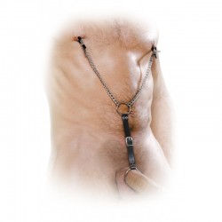 Nipple clamps with Phallic Ring Bondage BDSM Fetish