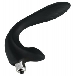 Vaginal and Anal Vibrator All Rounder