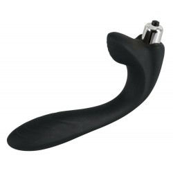 Vaginal and Anal Vibrator All Rounder