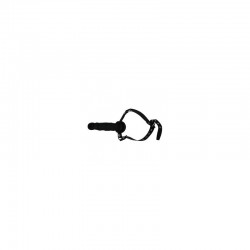 dildo con morso bdsm