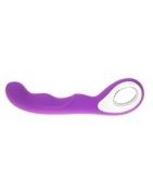 Vaginal vibrators, G-spot vibrators, prostate vibrators, wearable vibrators, rabbit vibrators.